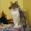 Отзыв от Валерия Селезнева